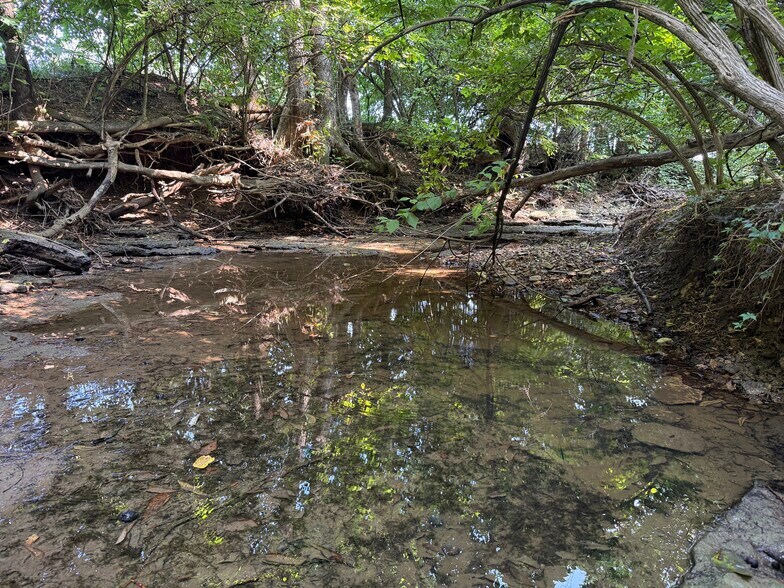 More Photos Of Walnut Hill Ln. (36.31+/- Acres), Elsberry Land For Sale