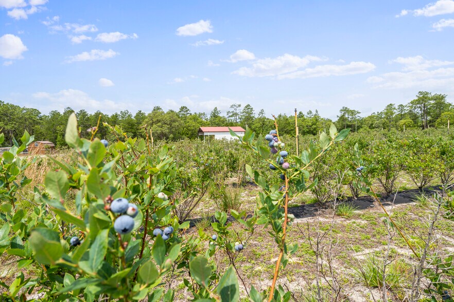 More Photos Of 130 Strawberry ln, Pomona Park Land For Sale