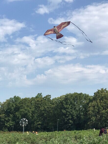 More Photos Of 552 Lick Creek Rd, Leasburg Land For Sale