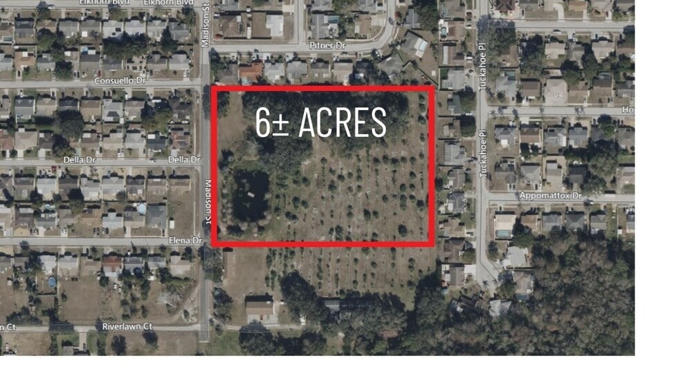 Primary Photo Of 3236 Madison St, Holiday Land For Sale