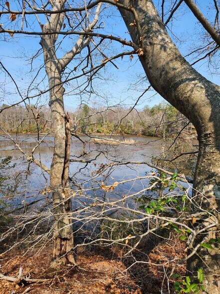 More Photos Of Trigger Lane, Colonial Beach Land For Sale