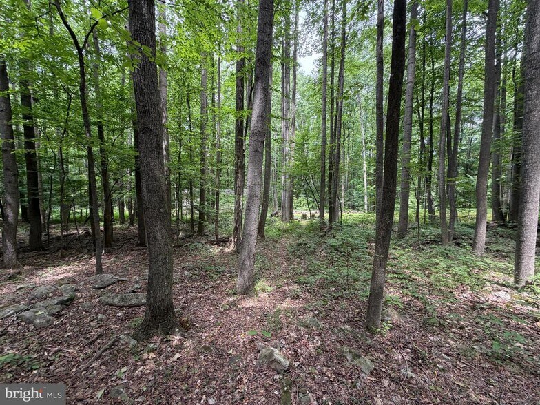 More Photos Of 23360 Burns Valley Rd, Doylesburg Land For Sale