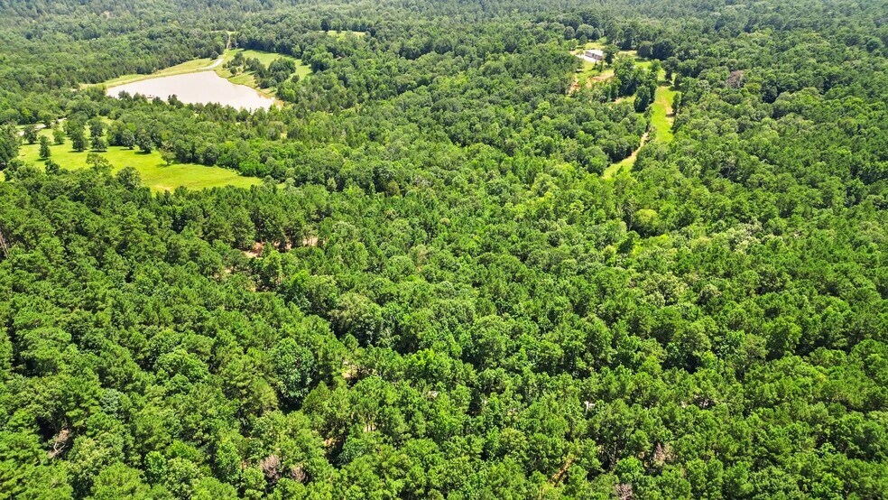 More Photos Of 268 Cedar Valley Rd, Coldspring Land For Sale