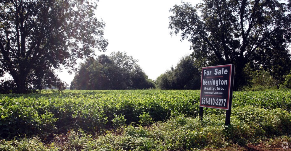 More Photos Of 20374 Highway 59, Robertsdale Land For Sale