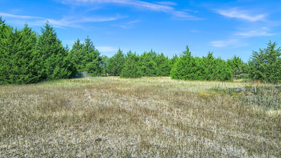 More Photos Of 322 Red Maple Rd, Gunter Land For Sale