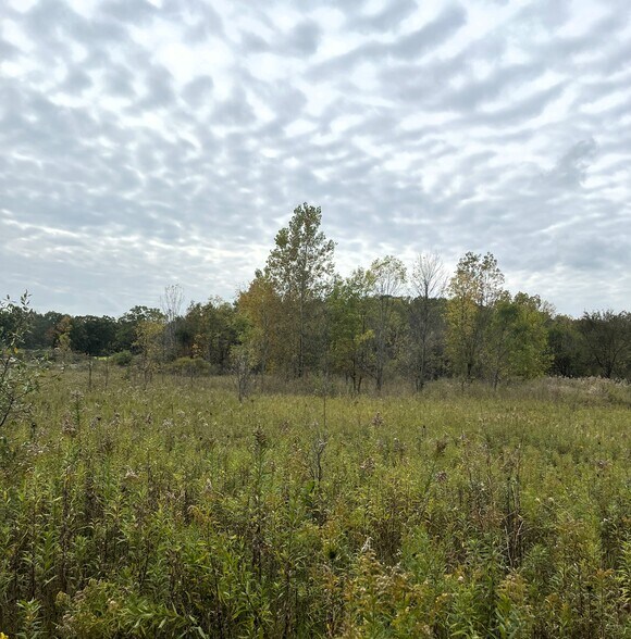 More Photos Of 0 Whitmore Lake Rd, Whitmore Lake Land For Sale