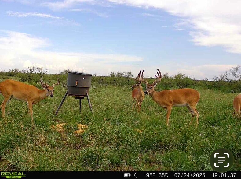 More Photos Of SW Corner of 380 & County Road 595 hwy, Brownfield Land For Sale