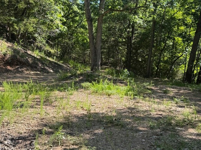 More Photos Of 190 Edgewater Dr, Eureka Springs Land For Sale