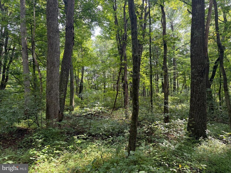 More Photos Of Schenck Road, Wells Tannery Land For Sale