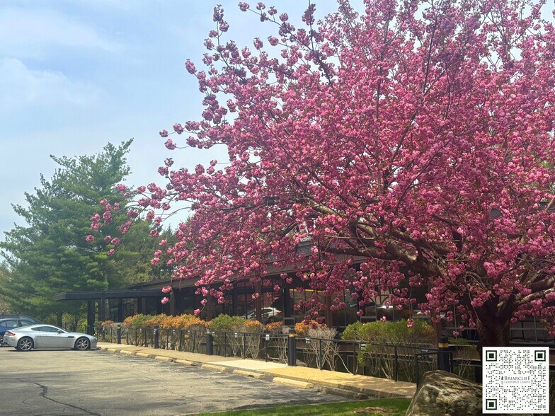 More Photos Of 555 Pleasantville Rd, Briarcliff Manor Village Coworking Space