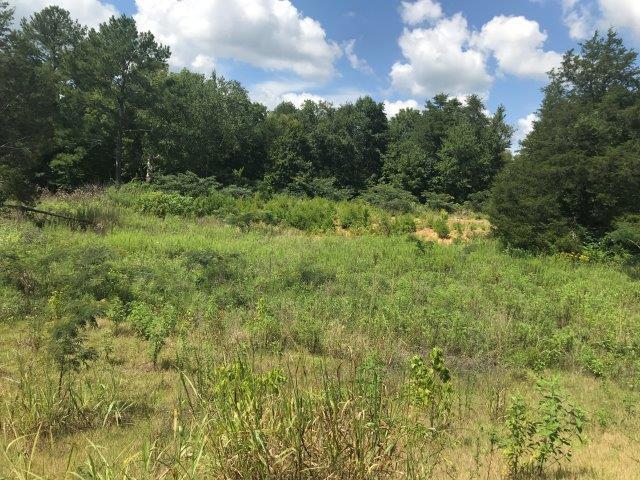 More Photos Of 7509 Emory Rd NE, Corryton Land For Sale