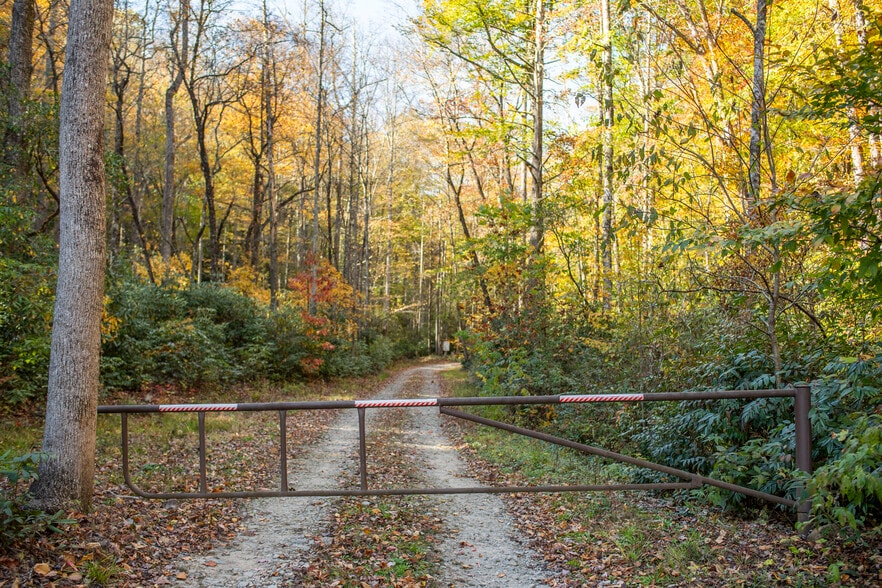 More Photos Of 195 Still Waters Ln, Brevard Land For Sale