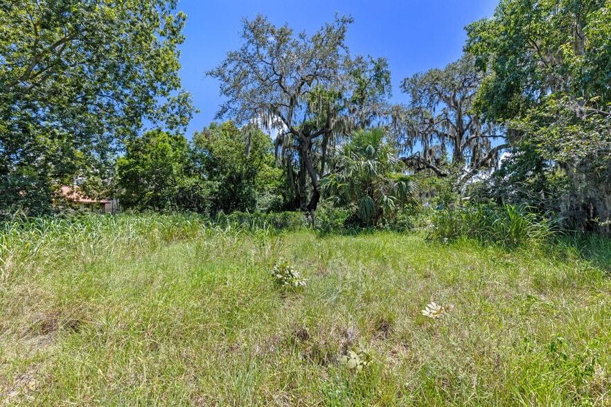 More Photos Of 8th Street, Montverde Land For Sale