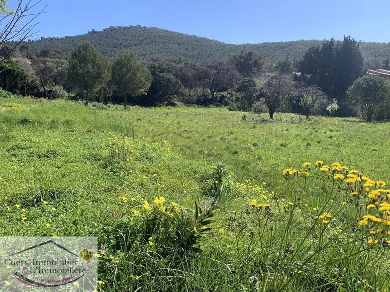More Photos Of ,  Land For Sale