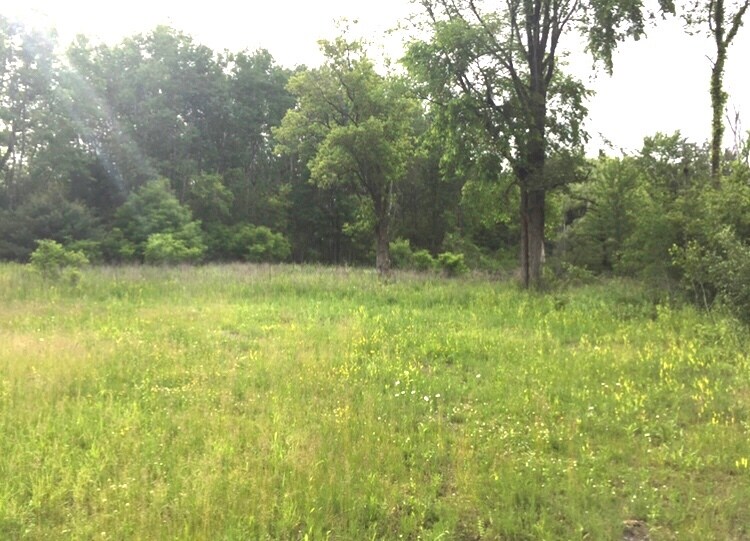 More Photos Of 106 Foundry Rd, Voorheesville Land For Sale