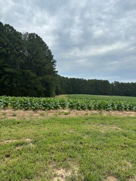 More Photos Of 2723 Mays Crossroad Crossroads, Youngsville Land For Sale