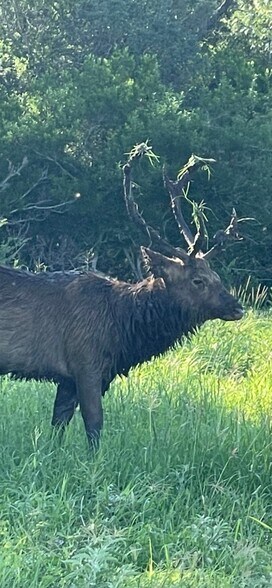 More Photos Of 5734 County Road 305, Beeville Land For Lease