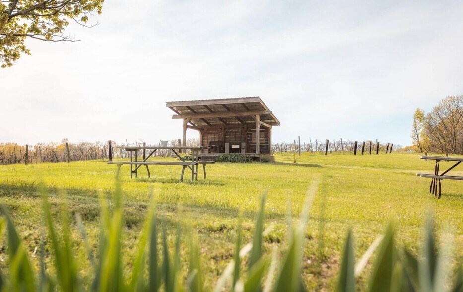 More Photos Of 3166 Highway B, Berger Winery Vineyard For Sale