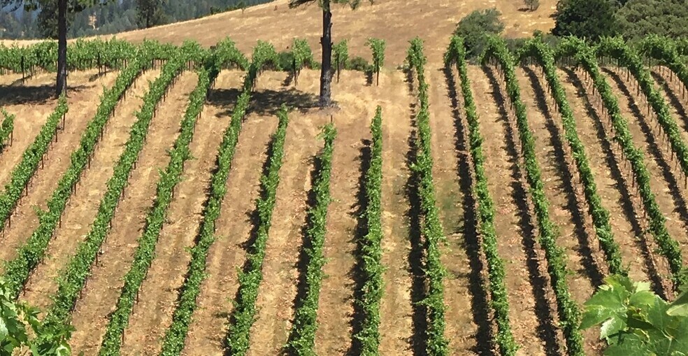 More Photos Of 7005 Mountain Ranch Rd, Mountain Ranch Land For Sale