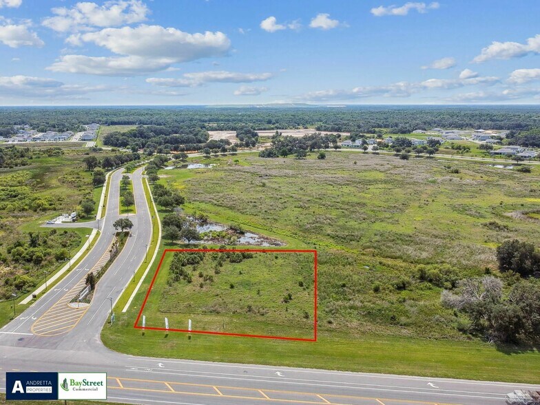 Primary Photo Of Gall Blvd. and Rapid River Blvd., Zephyrhills Land For Sale