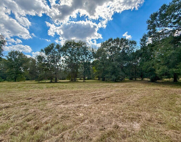 More Photos Of 1 Mount Zion Road, New Waverly Land For Sale