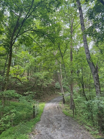 More Photos Of 210 Ridge Haven Dr, Surgoinsville Land For Sale