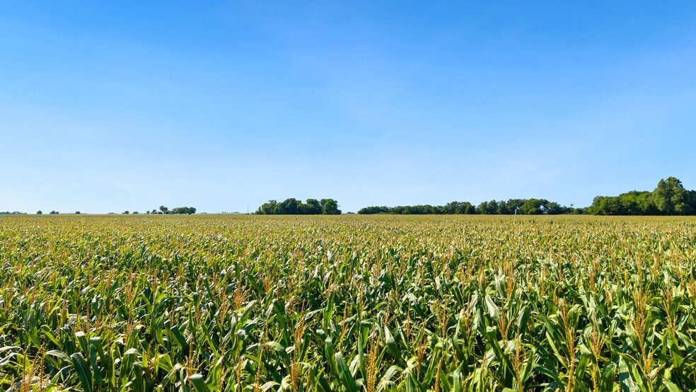 More Photos Of 4669 FM 973, Taylor Land For Sale