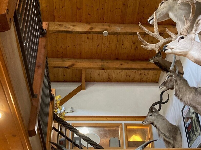 More Photos Of 123 N Lena St, Ridgway Restaurant For Sale