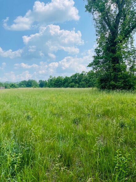 More Photos Of 7939 New Lawrenceburg Hwy, Mount Pleasant Land For Sale