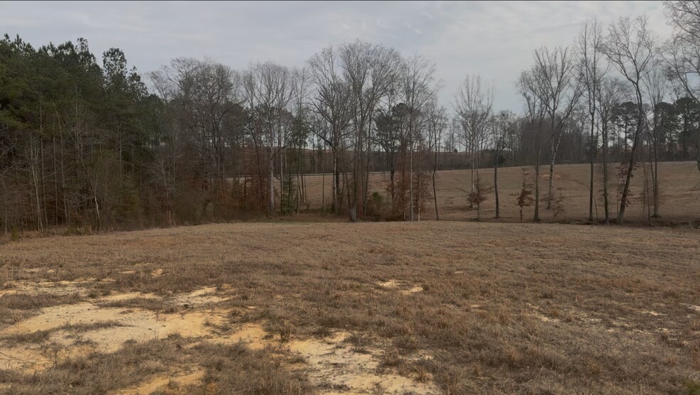 More Photos Of 3583 45th Street, SW, Lanett Land For Sale