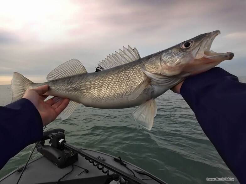 More Photos Of 0 Lake Front Dr, Erie Land For Sale