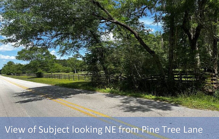 More Photos Of 2169 Pine Tree Ln, Middleburg Land For Sale