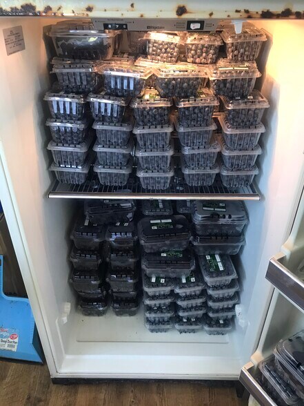 More Photos Of 552 Lick Creek Rd, Leasburg Land For Sale