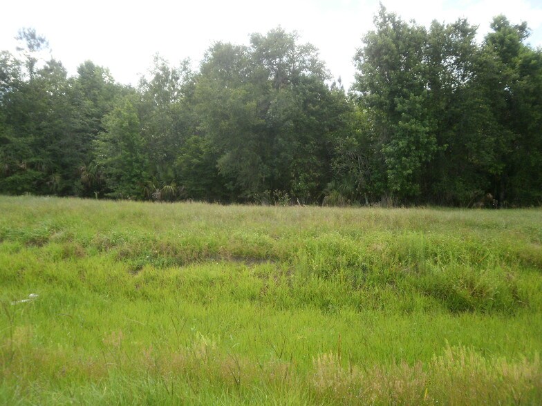 More Photos Of Cortez Blvd @ Near Mobley Road, Brooksville Land For Sale
