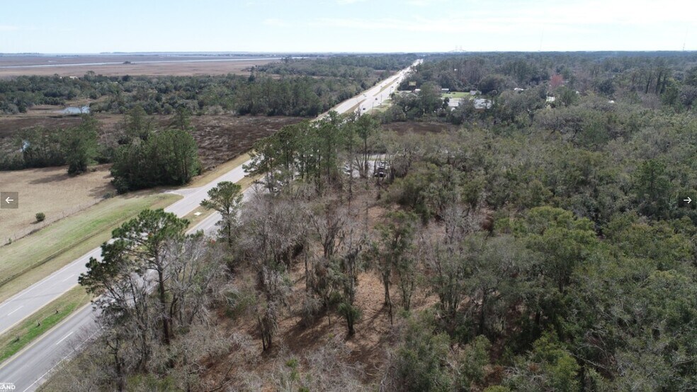 More Photos Of 3855 Darien Hwy, Brunswick Land For Sale