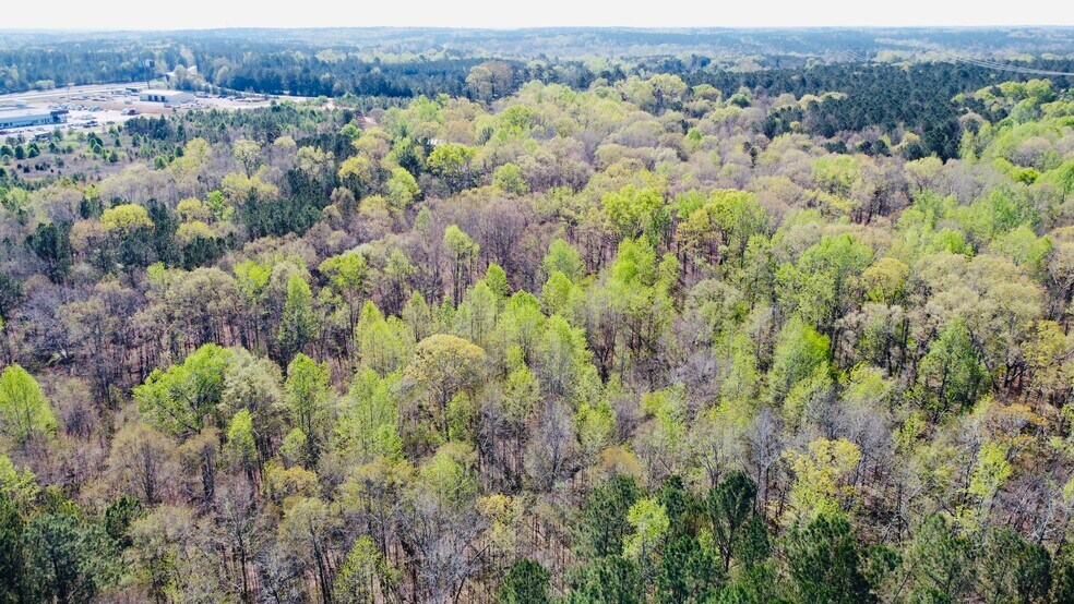 More Photos Of 2889 36, Jackson Land For Sale