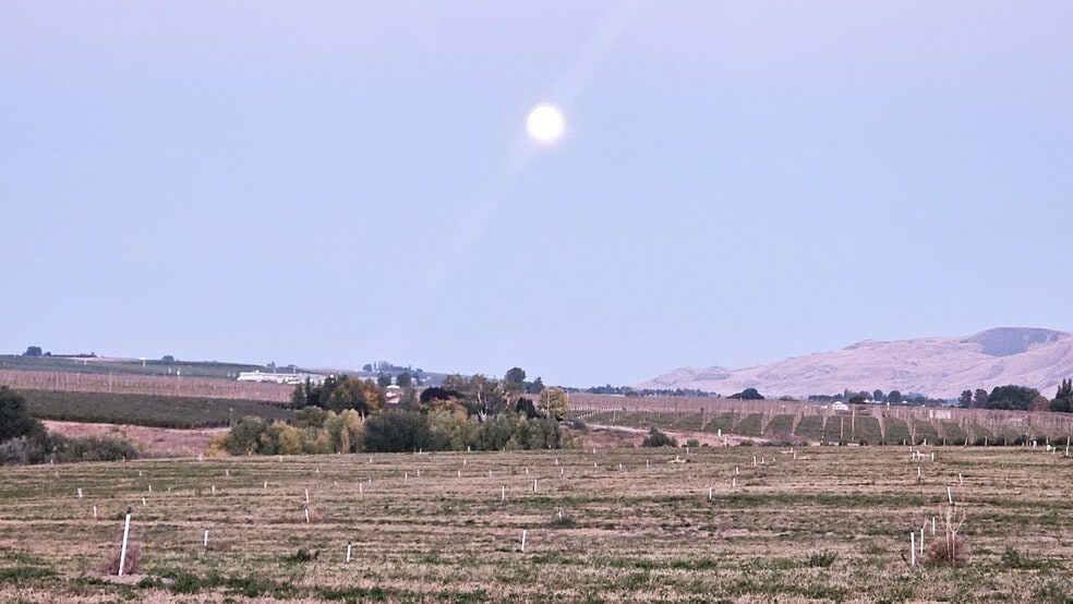 More Photos Of 125498 W Mccreadie Rd, Prosser Land For Sale