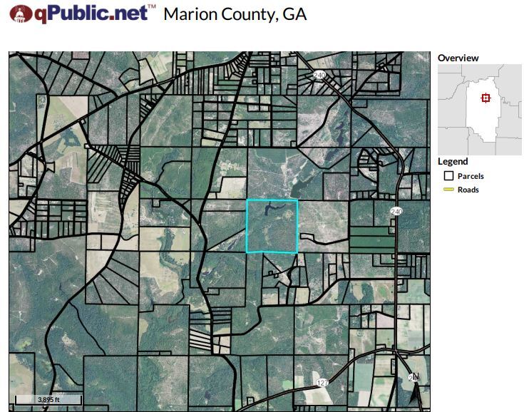 1 Grier Ln, Mauk, GA 31058 Land For Sale