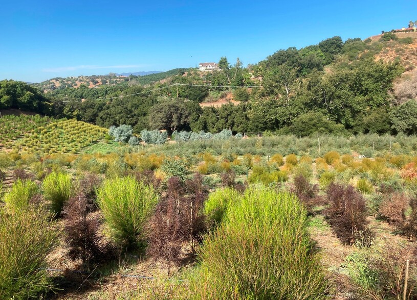 Primary Photo Of 4 Parcels SANDIA CREEK/DELORME dr, Temecula Land For Sale