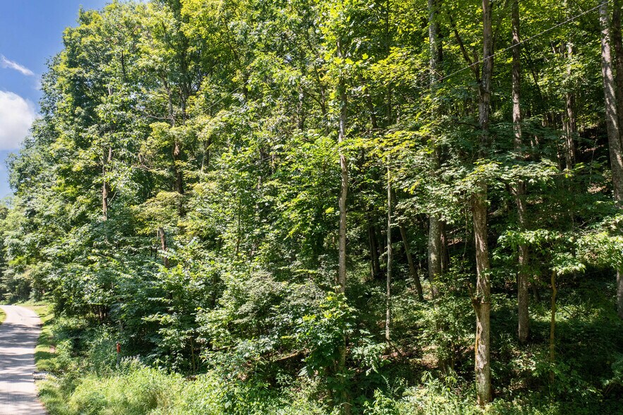 More Photos Of 24272 CONRAD Rd, Laurelville Land For Sale