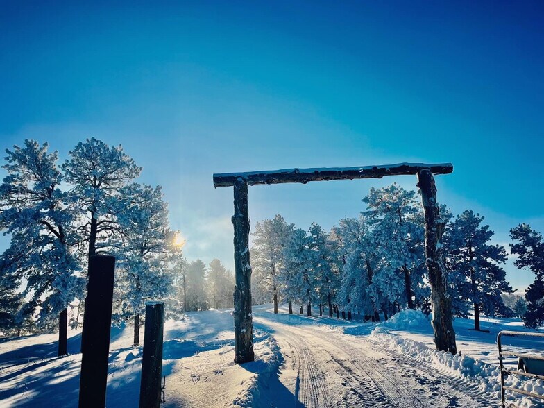 More Photos Of 4560 County Road 114, Elizabeth Land For Sale