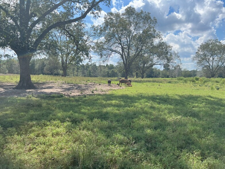 More Photos Of 627 Buford Rd, Arabi Land For Sale