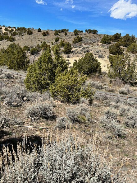 More Photos Of 4387 Sharps Rd, Reno Land For Sale