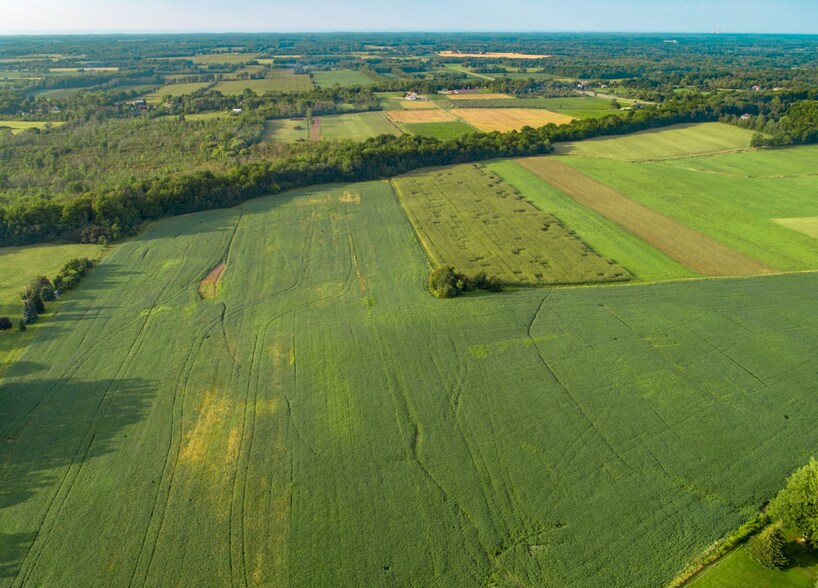More Photos Of 5138 Lower Mountain Rd, Lockport Winery Vineyard For Sale