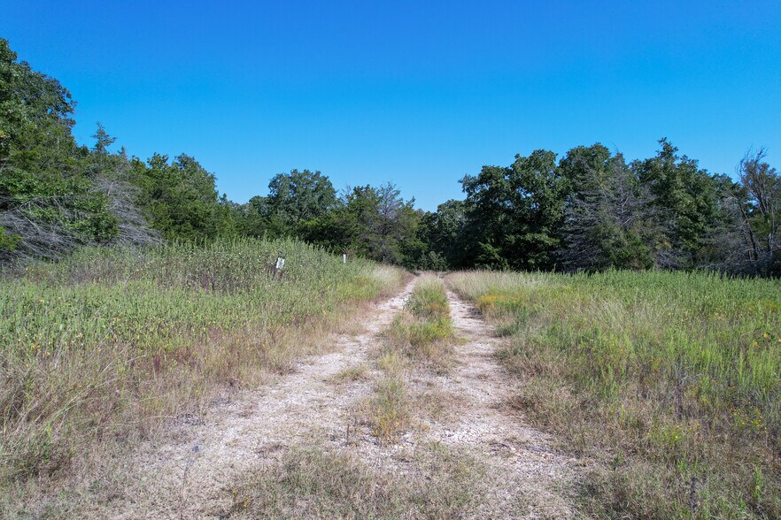 More Photos Of 0 Farm to Market 1246, Thornton Land For Sale