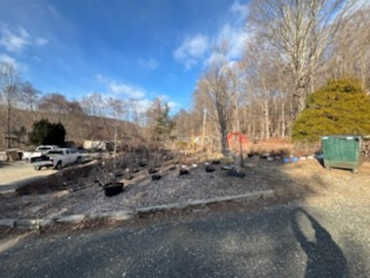 More Photos Of 181 State Route 37, New Fairfield Garden Center For Lease