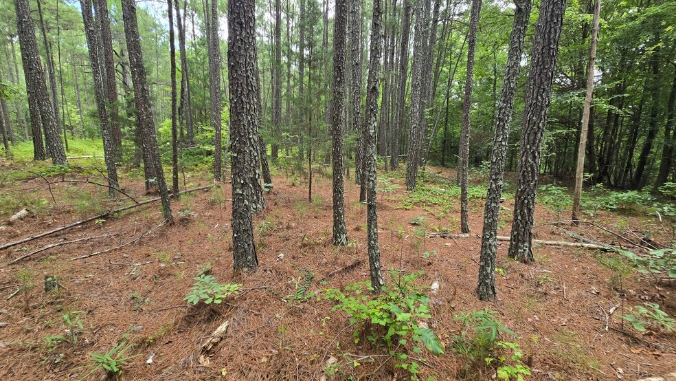 More Photos Of 5171 Ga Highway 138, Loganville Land For Sale