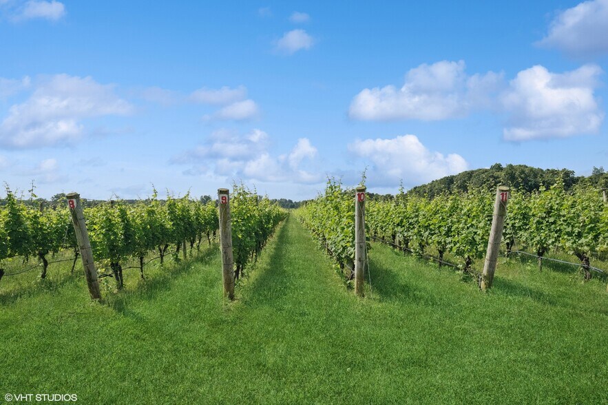 More Photos Of 5195 Old North Rd, Southold Winery Vineyard For Sale
