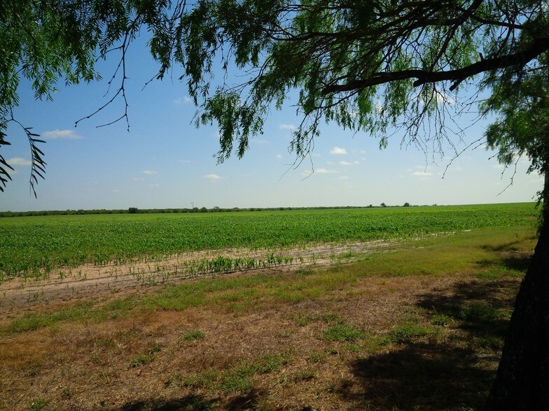 More Photos Of 9846 CR 260, Realitos Land For Sale