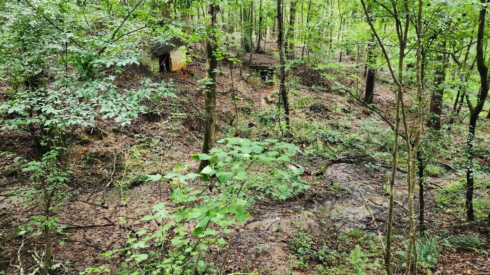 More Photos Of 1661 Friendship Rd, Hoschton Land For Sale